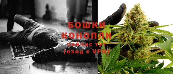 дмт Арсеньев