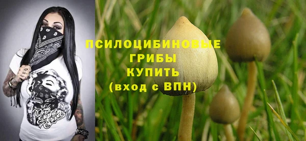 дмт Арсеньев